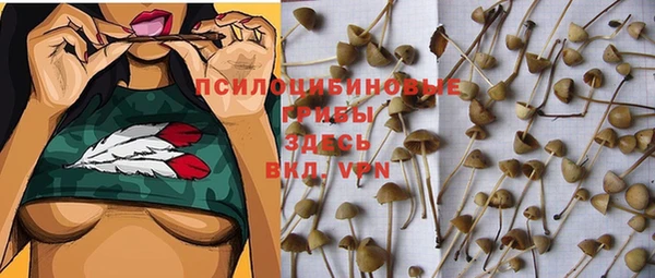 эйфоретик Михайловск