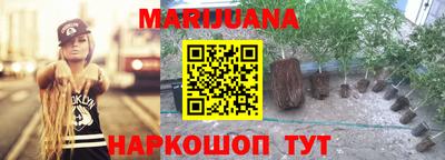стаф Кинель