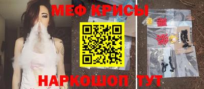 стаф Кинель