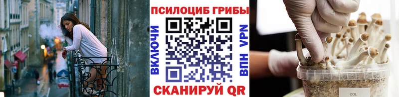 Псилоцибиновые грибы Cubensis  Краснотурьинск 