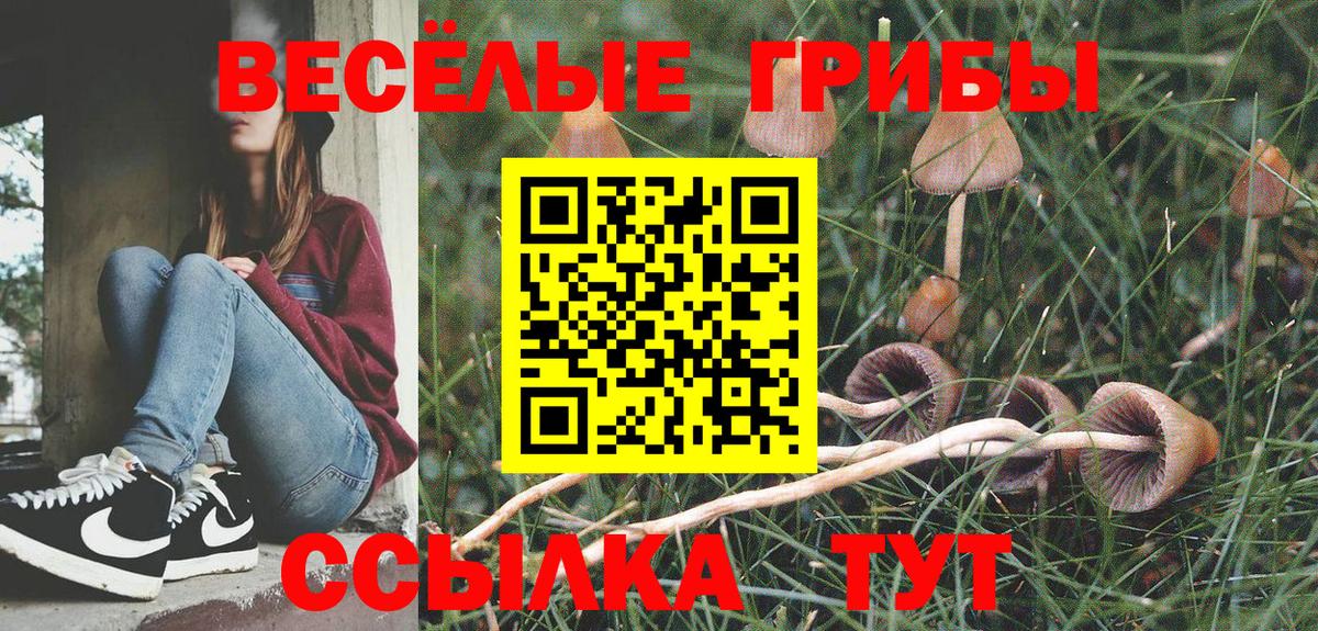 Галлюциногенные грибы мухоморы  Псилоцибиновые грибы Psilocybe  купить наркотики сайты  Краснотурьинск  Вход с VPN 
